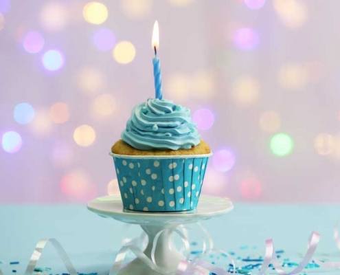 synergy-is-one-years-old